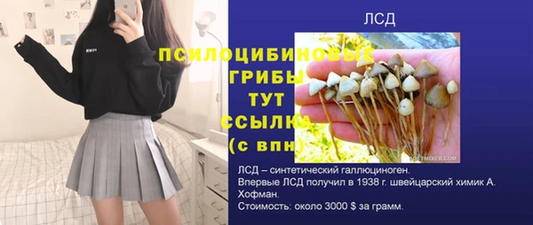индика Верхнеуральск