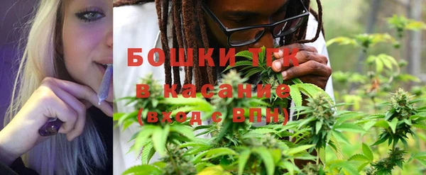 индика Верхнеуральск