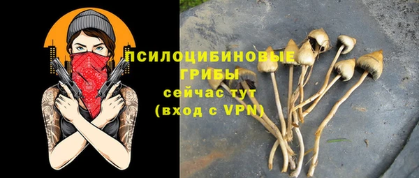 хмурый Верхний Тагил